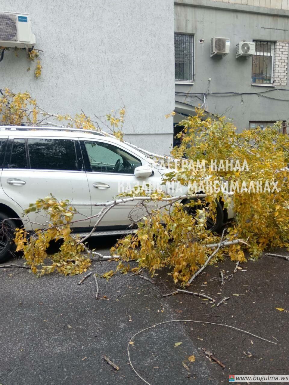 В Казани сильным ветром сорвало куски кровли с нескольких зданий |  17.10.2023 | Бугульма - БезФормата