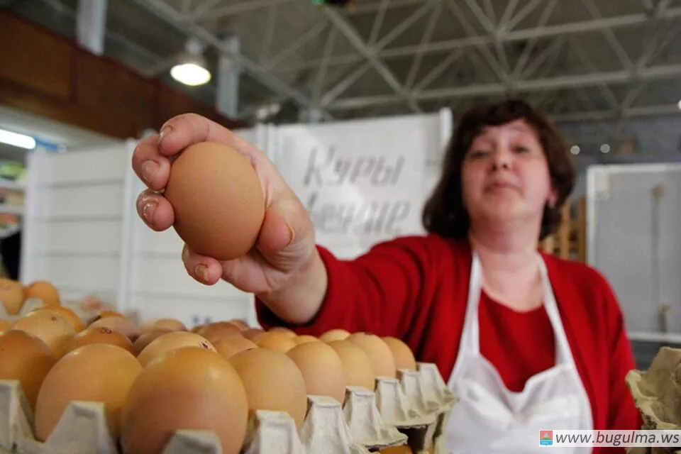 В России обнулят пошлину на ввоз куриных яиц
