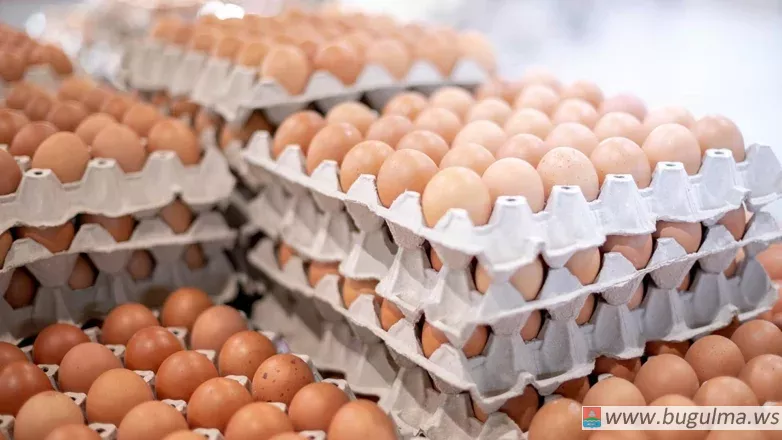 В Россию привезли яйца из Азербайджана – более 600 тыс. штук