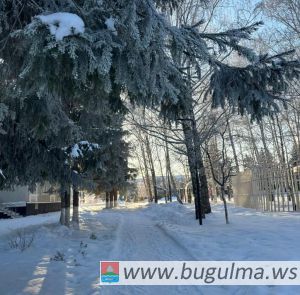 В Бугульме похолодает до 35 градусов мороза