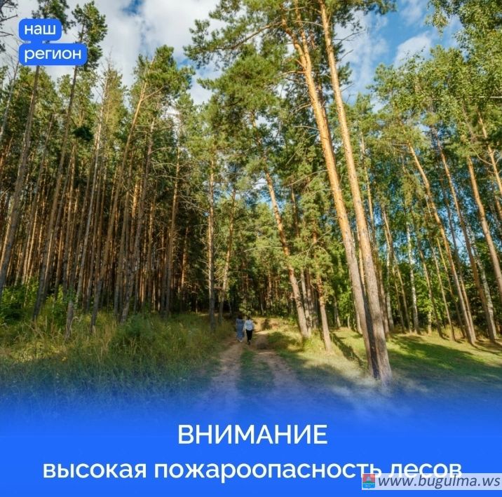 Высокая пожарная опасность в лесах прогнозируется в Татарстане с 2 по 8 июля.