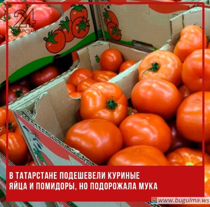 В Татарстане подешевели куриные яйца и помидоры, но подорожала мука.