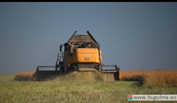 Минсельхозпрод РТ: Несмотря на погоду, удалось собрать достойный урожай зерна.