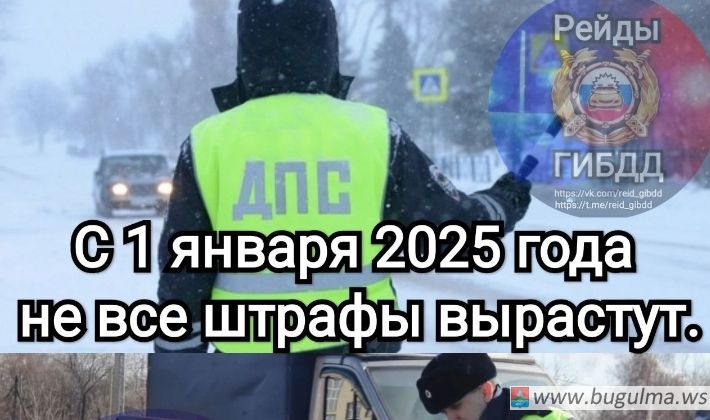 С 1 января 2025 года не все штрафы вырастут.