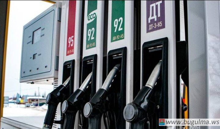 В Татарстане с 27 октября по 5 ноября снизились цены на бензин.