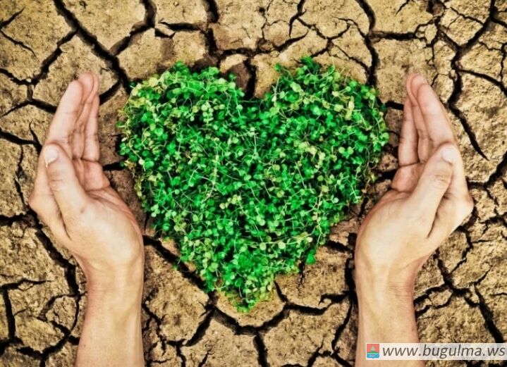 Житель деревни Таллы-Буляк Бугульминского района привлечён к административной ответственности.