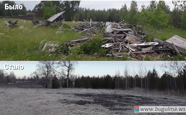 Несанкционированное размещение отходов устранено.