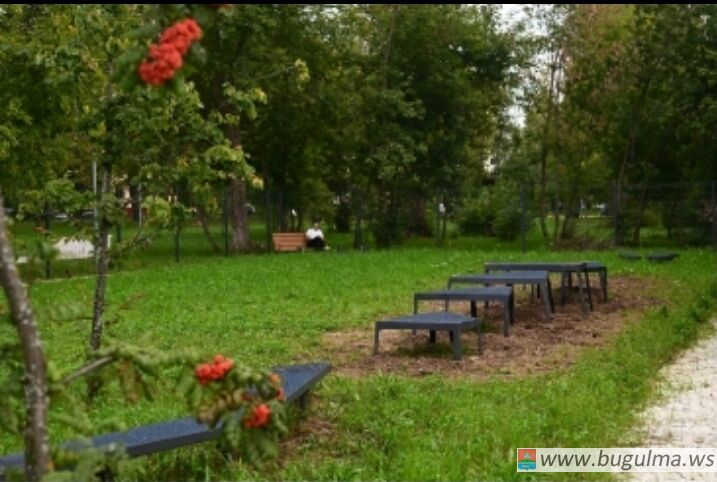 В Татарстане открылись первые семь площадок для выгула собак.