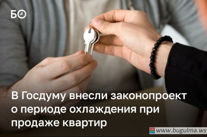 В Госдуму внесли законопроект для борьбы с мошенничеством при продаже квартир.