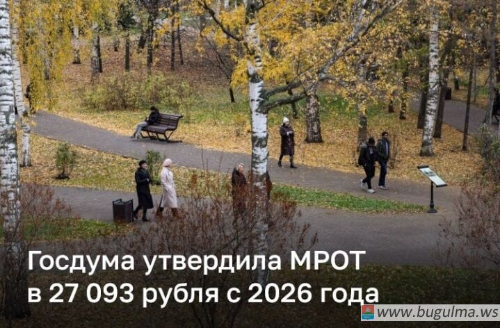 Госдума утвердила повышение МРОТ с января 2026 года.
