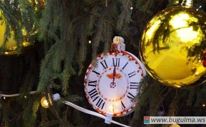 О рисках установки живой новогодней ёлки дома.