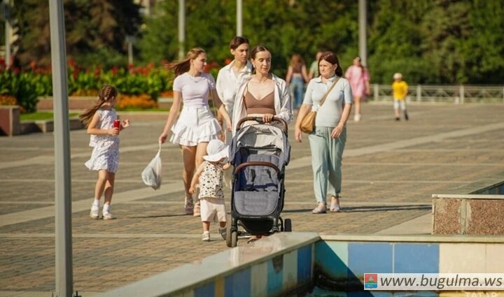 Более 54 000 земельных участков получили многодетные семьи Татарстана.