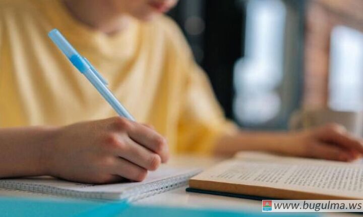 Домашние задания в школах предложили упростить в Госдуме.