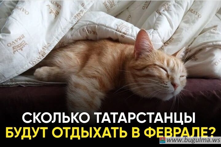 ⭐️Выходные в честь Дня защитника Отечества.