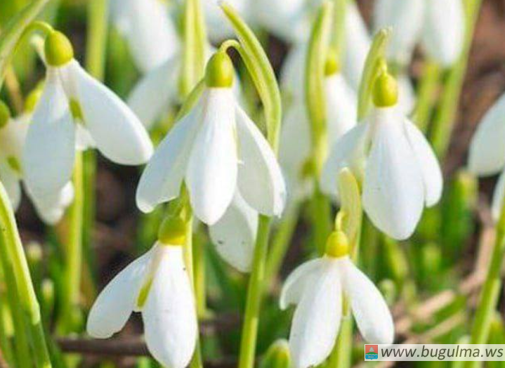 До 9 лет тюрьмы и штраф в миллион рублей могут грозить россиянам.