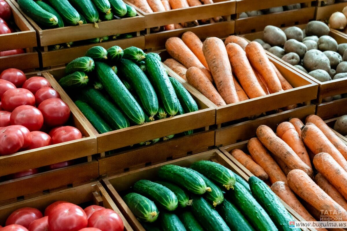 Экономист объяснил, почему огурцы подорожали и когда ждать снижения цен.