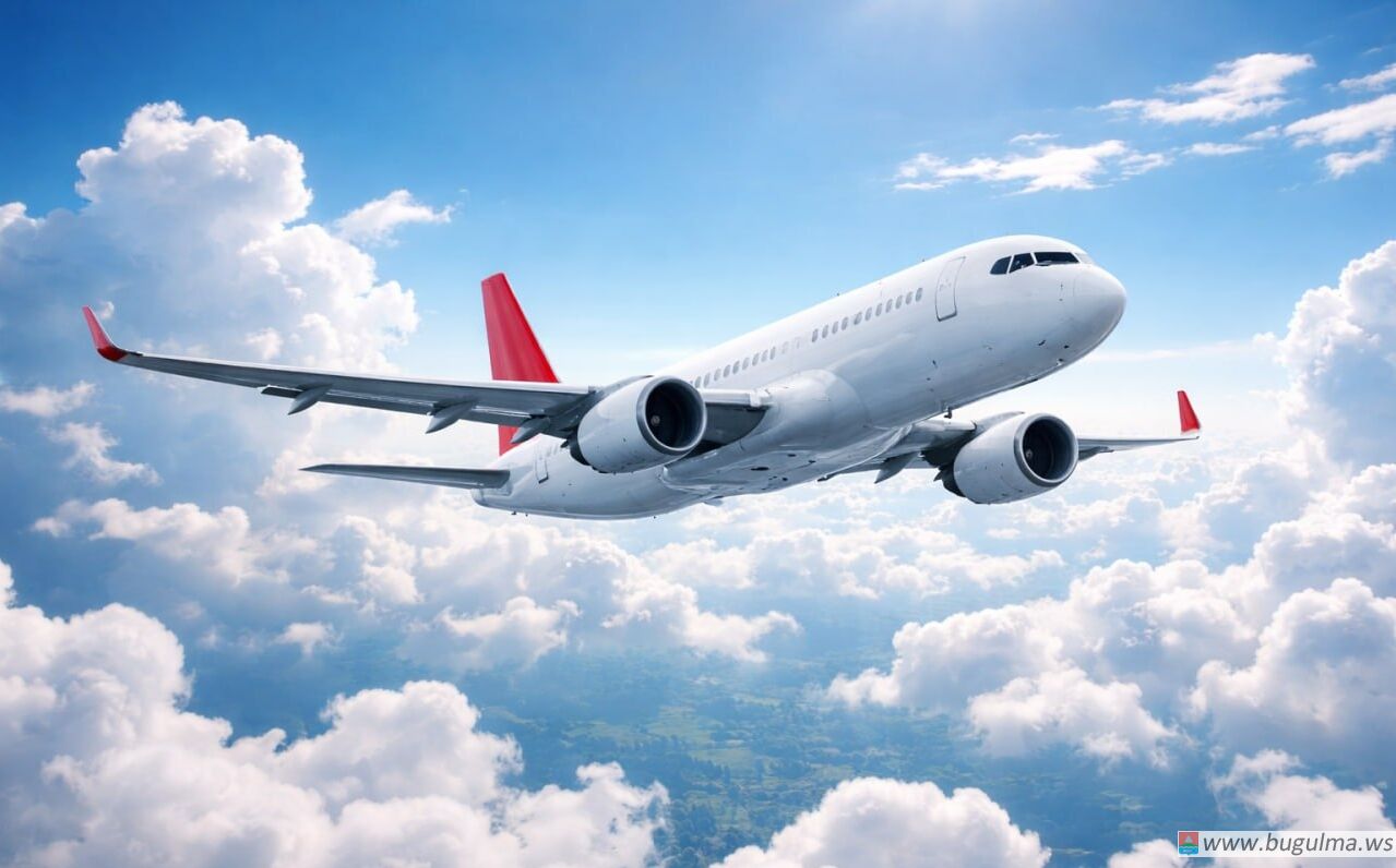 ✈️👶Минтранс расширил действие 50-процентной скидки на детские авиабилеты.