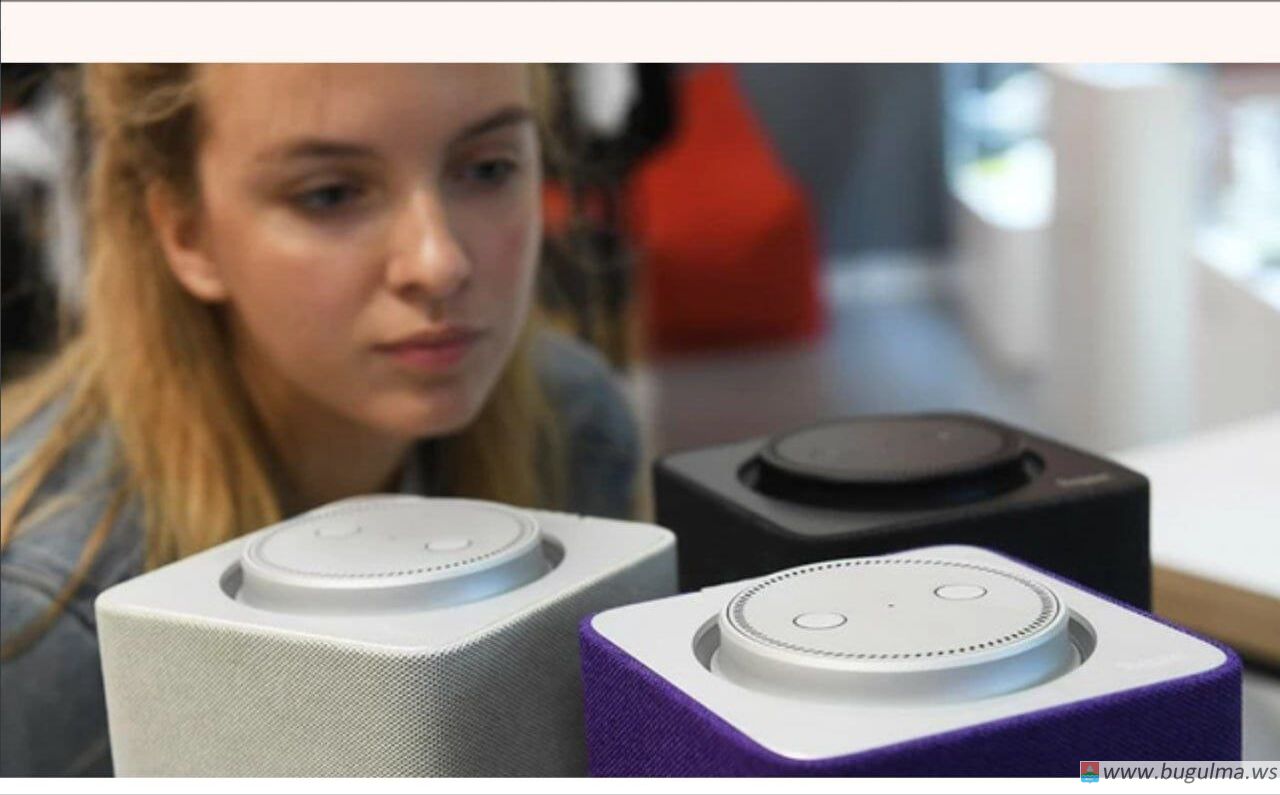 Умная колонка позовёт на выборы в 2026 году