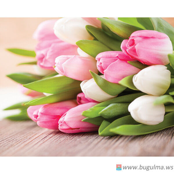 🌷 В Госдуме возмущены ростом цен на цветы перед 8 Марта.