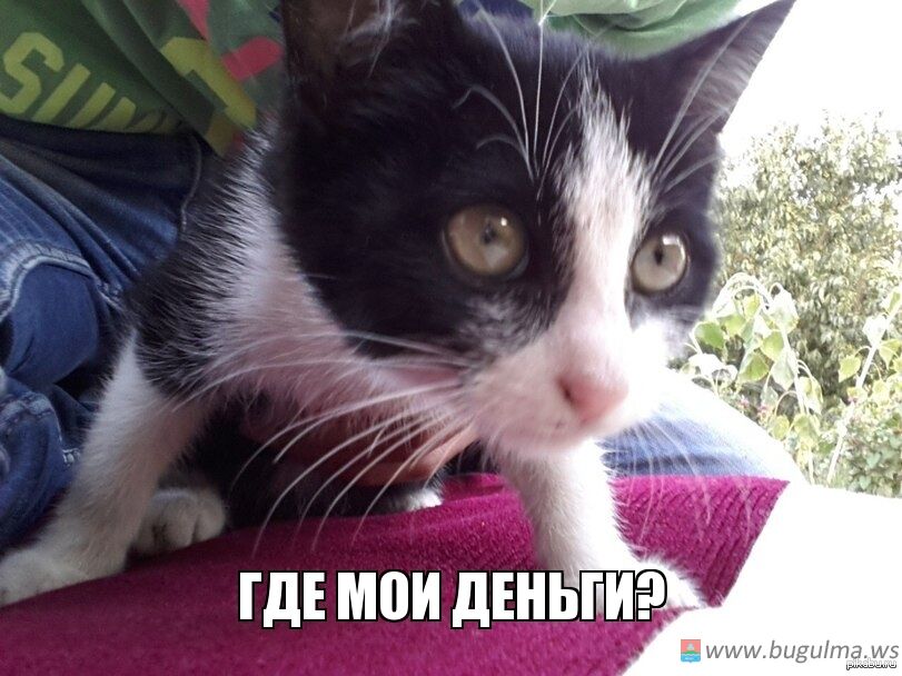 Удовлетворен гражданский иск о взыскании невыплаченной заработной платы ‼️