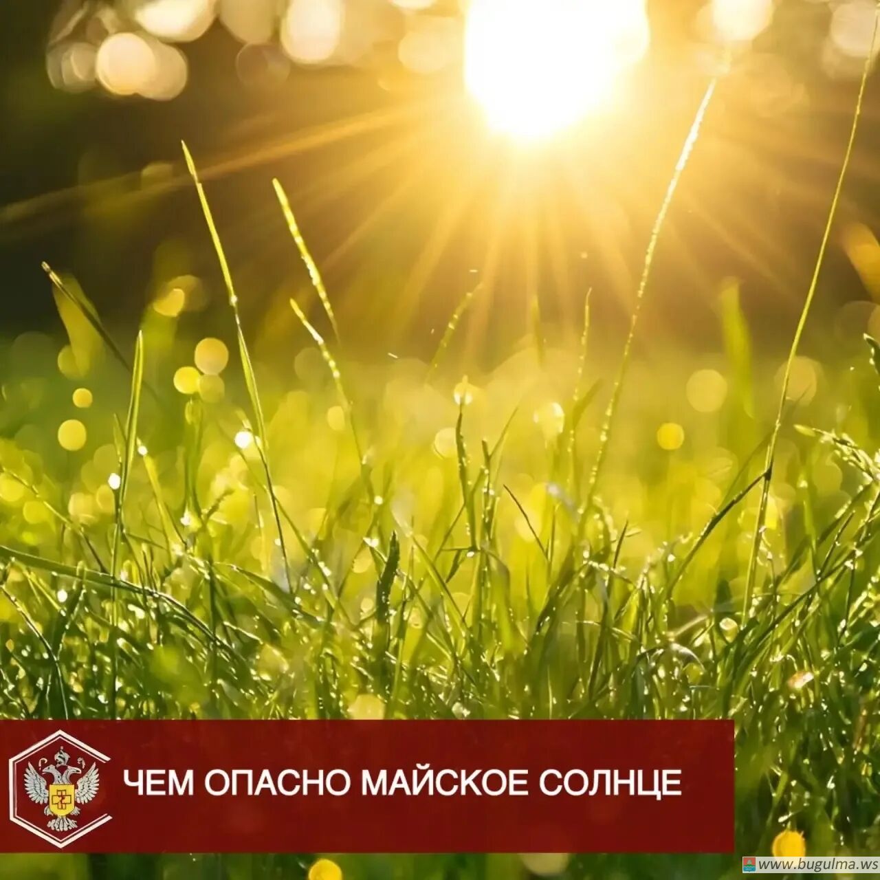 🌤 Чем опасно майское солнце ❓