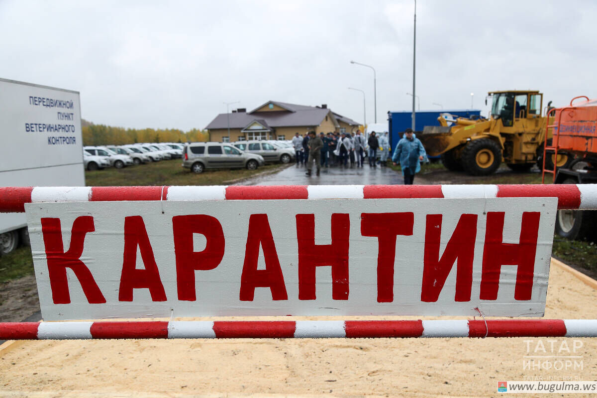 16+ В Татарстане зарегистрированы вспышки бешенства.